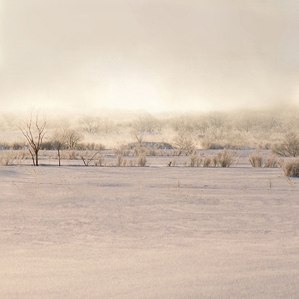 B-5173撮影用背景布★多サイズ対応(0.5ｍ x 0.9～3ｍ x 7m）★