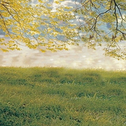 B-5175撮影用背景布★多サイズ対応(0.5ｍ x 0.9～3ｍ x 7m）★