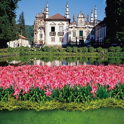 B-5298撮影用背景布★多サイズ対応(0.5ｍ x 0.9～3ｍ x 7m）★