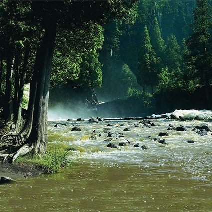 B-5763撮影用背景布★多サイズ対応(0.5ｍ x 0.9～3ｍ x 7m）★