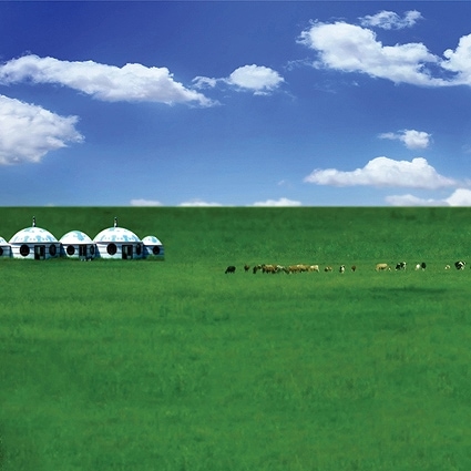 B-5787撮影用背景布★多サイズ対応(0.5ｍ x 0.9～3ｍ x 7m）★