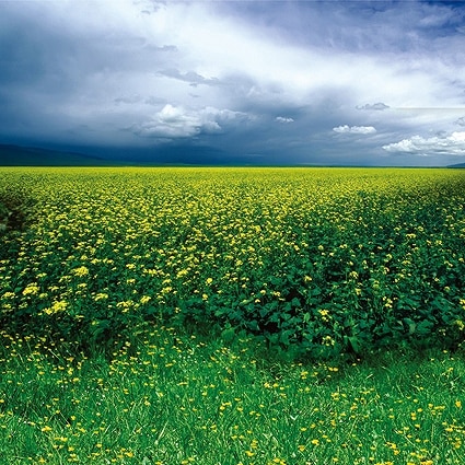 B-5842撮影用背景布★多サイズ対応(0.5ｍ x 0.9～3ｍ x 7m）★