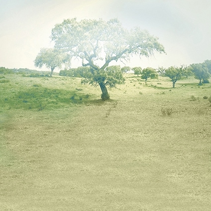 B-5926撮影用背景布★多サイズ対応(0.5ｍ x 0.9～3ｍ x 7m）★