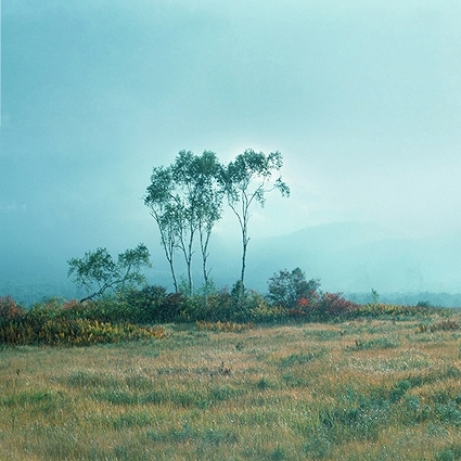 B-6002撮影用背景布★多サイズ対応(0.5ｍ x 0.9～3ｍ x 7m）★