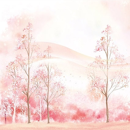 B-7609撮影用背景布★多サイズ対応(0.5ｍ x 0.9～3ｍ x 7m）★