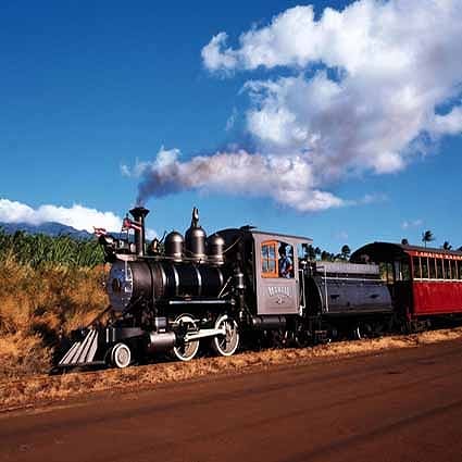 B-1774撮影用背景布★多サイズ対応(0.5ｍ x 0.9～3ｍ x 7m）★
