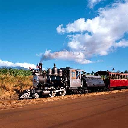 B-1829撮影用背景布★多サイズ対応(0.5ｍ x 0.9～3ｍ x 7m）★