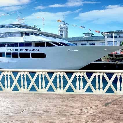 B-2073撮影用背景布★多サイズ対応(0.5ｍ x 0.9～3ｍ x 7m）★