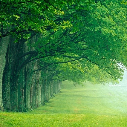 B-1660撮影用背景布★多サイズ対応(0.5ｍ x 0.9～3ｍ x 7m）★