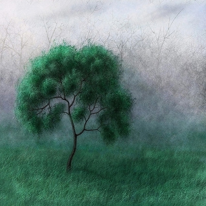 B-1740撮影用背景布★多サイズ対応(0.5ｍ x 0.9～3ｍ x 7m）★