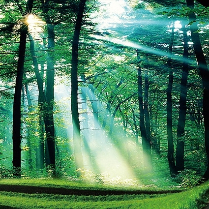 B-1760撮影用背景布★多サイズ対応(0.5ｍ x 0.9～3ｍ x 7m）★