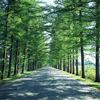 B-2423撮影用背景布★多サイズ対応(0.5ｍ x 0.9～3ｍ x 7m）★