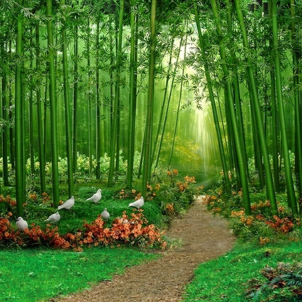 B-2518撮影用背景布★多サイズ対応(0.5ｍ x 0.9～3ｍ x 7m）★