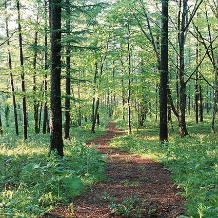 B-2548撮影用背景布★多サイズ対応(0.5ｍ x 0.9～3ｍ x 7m）★