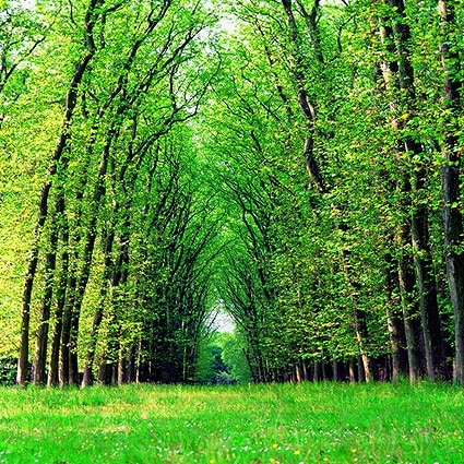 B-3536撮影用背景布★多サイズ対応(0.5ｍ x 0.9～3ｍ x 7m）★