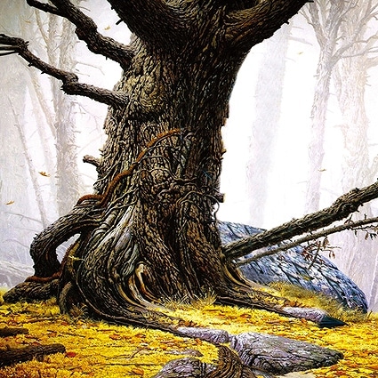 B-3604撮影用背景布★多サイズ対応(0.5ｍ x 0.9～3ｍ x 7m）★