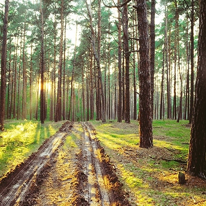 B-3663撮影用背景布★多サイズ対応(0.5ｍ x 0.9～3ｍ x 7m）★