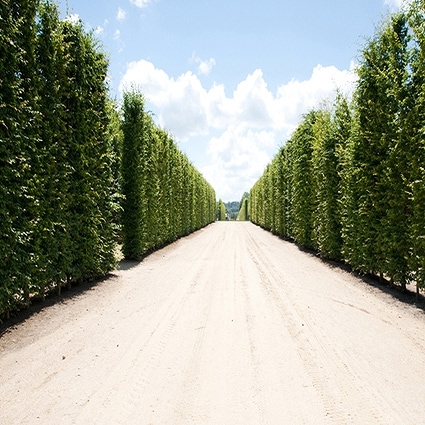 B-3668撮影用背景布★多サイズ対応(0.5ｍ x 0.9～3ｍ x 7m）★