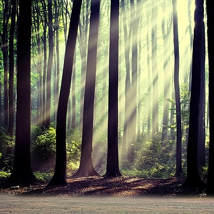 B-3746撮影用背景布★多サイズ対応(0.5ｍ x 0.9～3ｍ x 7m）★