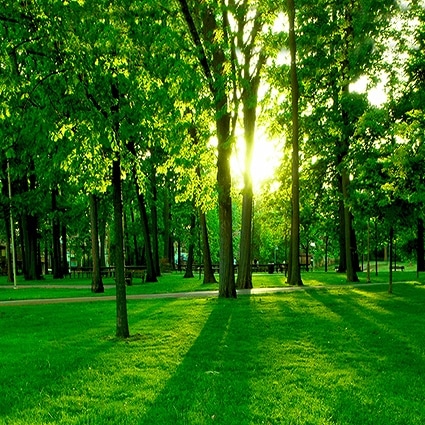 B-3754撮影用背景布★多サイズ対応(0.5ｍ x 0.9～3ｍ x 7m）★