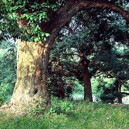 B-3765撮影用背景布★多サイズ対応(0.5ｍ x 0.9～3ｍ x 7m）★