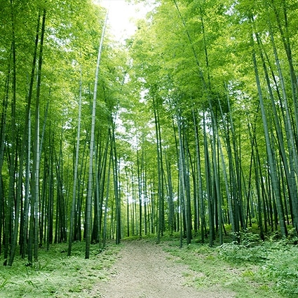 B-3795撮影用背景布★多サイズ対応(0.5ｍ x 0.9～3ｍ x 7m）★