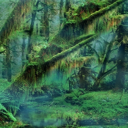 B-3887撮影用背景布★多サイズ対応(0.5ｍ x 0.9～3ｍ x 7m）★