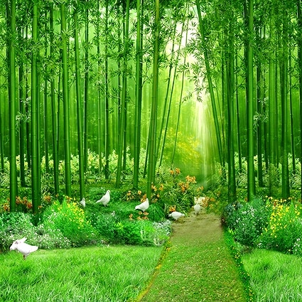 B-4035撮影用背景布★多サイズ対応(0.5ｍ x 0.9～3ｍ x 7m）★