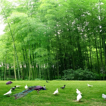 B-4039撮影用背景布★多サイズ対応(0.5ｍ x 0.9～3ｍ x 7m）★