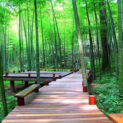 B-4041撮影用背景布★多サイズ対応(0.5ｍ x 0.9～3ｍ x 7m）★