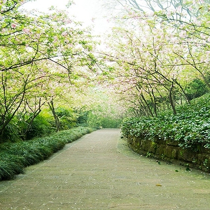 B-4170撮影用背景布★多サイズ対応(0.5ｍ x 0.9～3ｍ x 7m）★