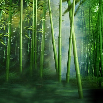 B-4541撮影用背景布★多サイズ対応(0.5ｍ x 0.9～3ｍ x 7m）★