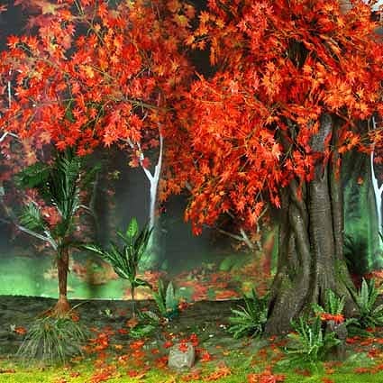 B-6764撮影用背景布★多サイズ対応(0.5ｍ x 0.9～3ｍ x 7m）★