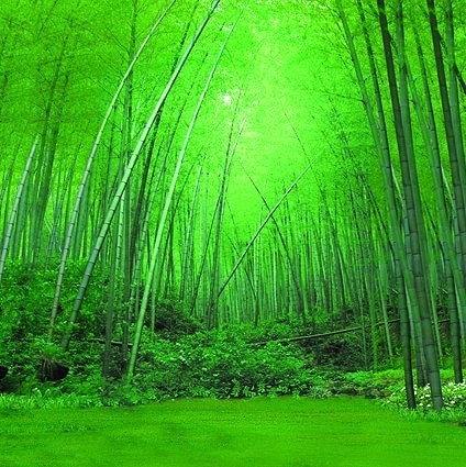 B-S6080撮影用背景布★多サイズ対応(0.5ｍ x 0.9～3ｍ x 7m）★