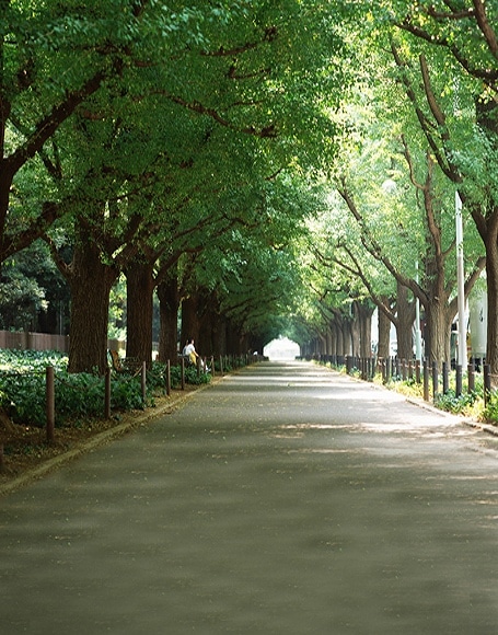 B-y-3012撮影用背景布★多サイズ対応(0.5ｍ x 0.9～3ｍ x 7m）★