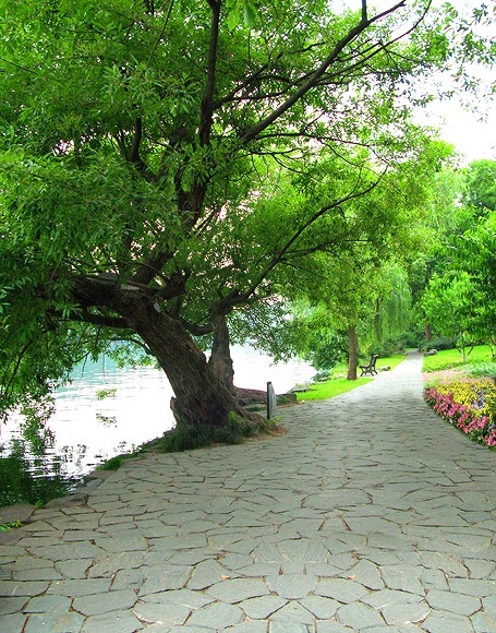 B-y-3090撮影用背景布★多サイズ対応(0.5ｍ x 0.9～3ｍ x 7m）★