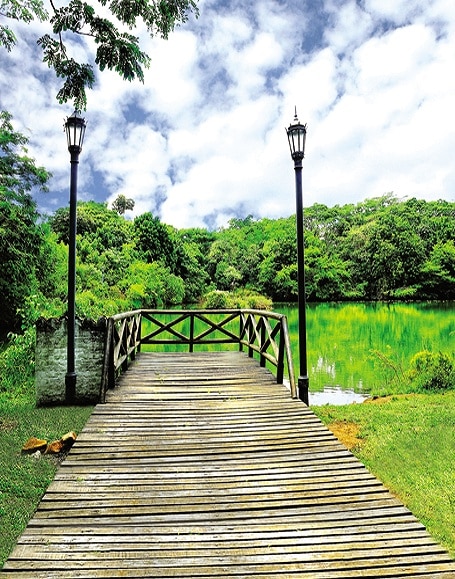 B-y-5668撮影用背景布★多サイズ対応(0.5ｍ x 0.9～3ｍ x 7m）★