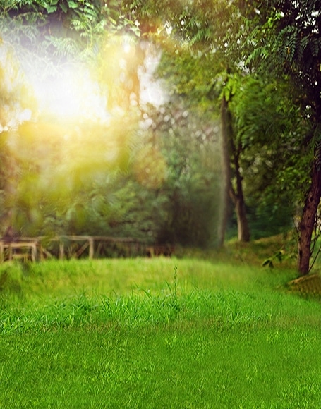 B-y-5710撮影用背景布★多サイズ対応(0.5ｍ x 0.9～3ｍ x 7m）★