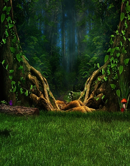 B-y-5716撮影用背景布★多サイズ対応(0.5ｍ x 0.9～3ｍ x 7m）★