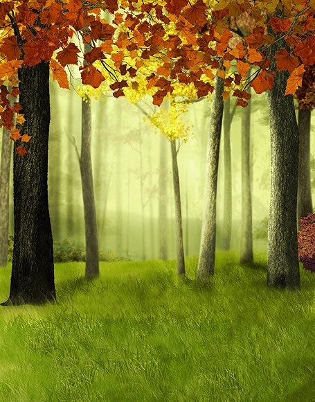 B-y-5785撮影用背景布★多サイズ対応(0.5ｍ x 0.9～3ｍ x 7m）★