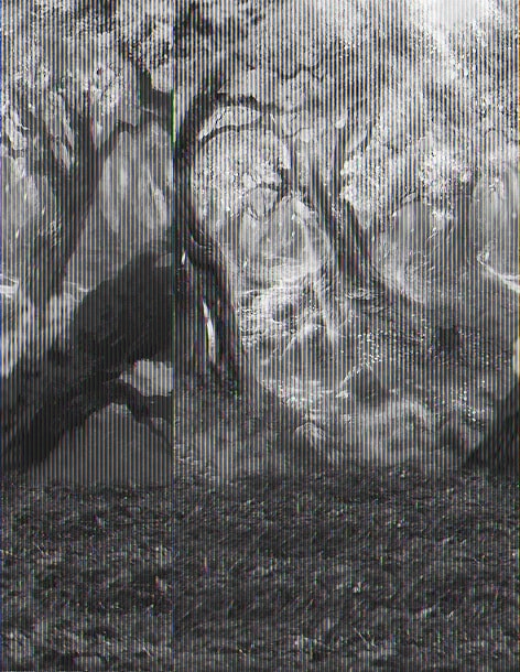 B-y-6096撮影用背景布★多サイズ対応(0.5ｍ x 0.9～3ｍ x 7m）★