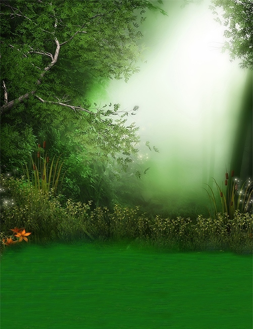 B-y-6105撮影用背景布★多サイズ対応(0.5ｍ x 0.9～3ｍ x 7m）★