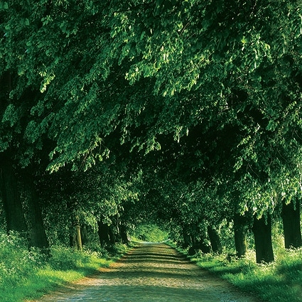 B-y1050撮影用背景布★多サイズ対応(0.5ｍ x 0.9～3ｍ x 7m）★