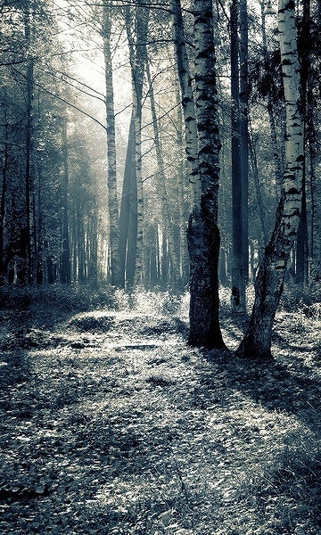 B-y1895撮影用背景布★多サイズ対応(0.5ｍ x 0.9～3ｍ x 7m）★