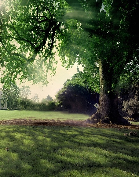 B-y2480撮影用背景布★多サイズ対応(0.5ｍ x 0.9～3ｍ x 7m）★