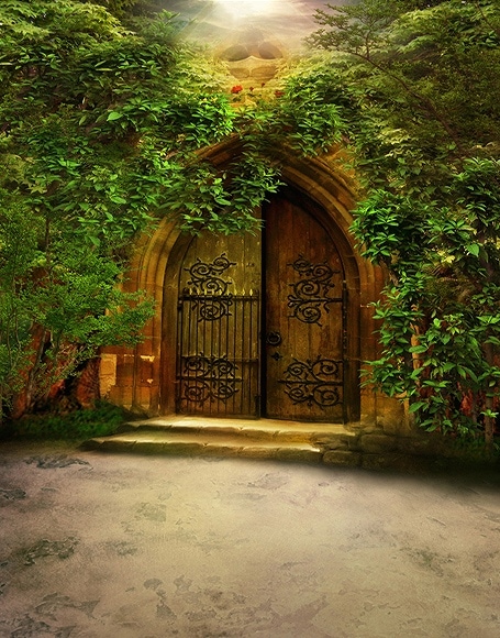 B-y2489撮影用背景布★多サイズ対応(0.5ｍ x 0.9～3ｍ x 7m）★