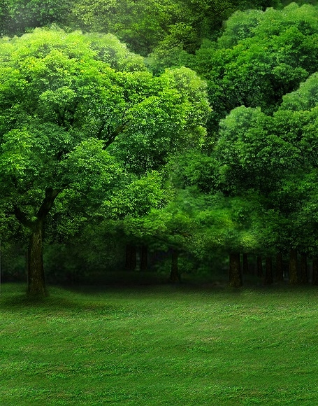 B-y2505撮影用背景布★多サイズ対応(0.5ｍ x 0.9～3ｍ x 7m）★