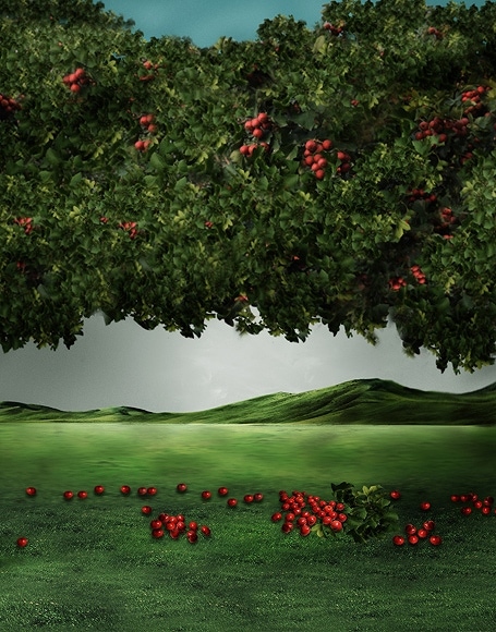 B-y2579撮影用背景布★多サイズ対応(0.5ｍ x 0.9～3ｍ x 7m）★