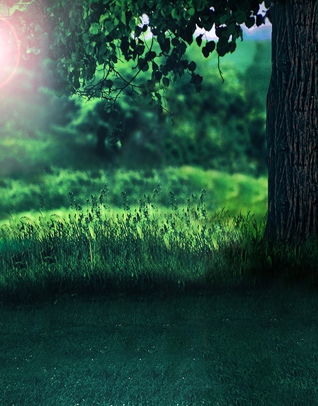 B-y2674撮影用背景布★多サイズ対応(0.5ｍ x 0.9～3ｍ x 7m）★