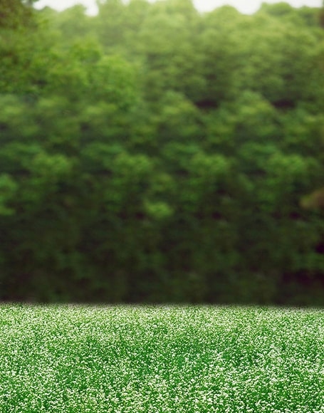 B-y2689撮影用背景布★多サイズ対応(0.5ｍ x 0.9～3ｍ x 7m）★